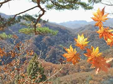 芙蓉区医疗保障局人事任命动态解读