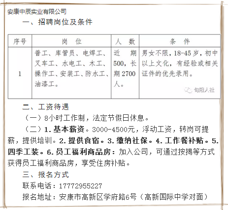 安康招聘网最新招聘动态深度解读报告