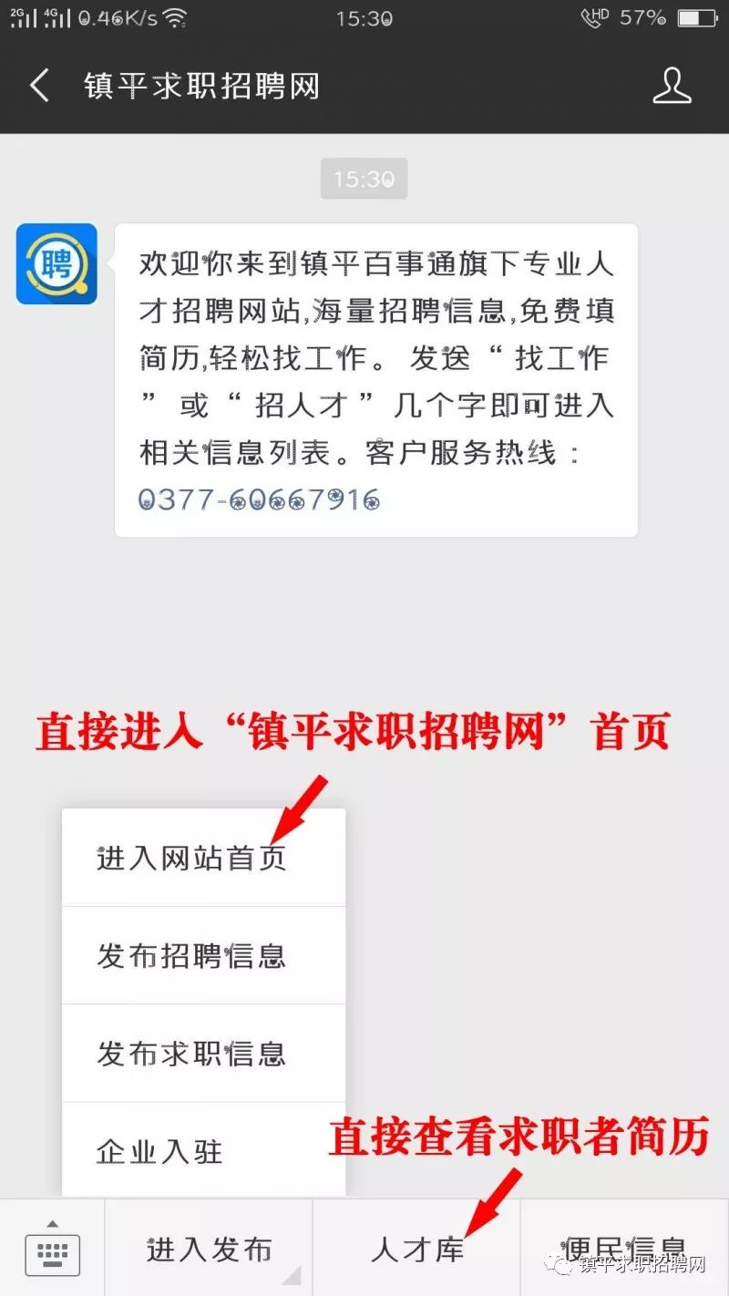 镇平招聘网最新招聘动态深度解读报告