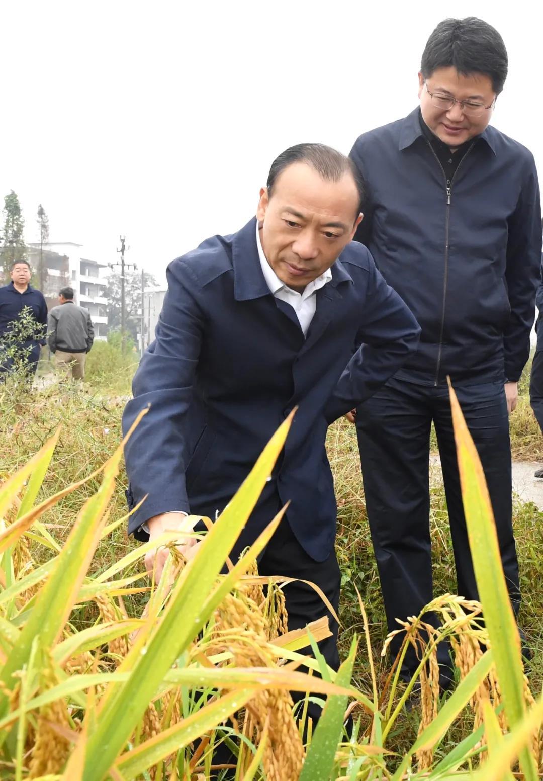 袁州区科技局发展规划引领科技创新，促进区域繁荣新篇章