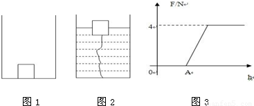 最新地址与浮力探索揭秘