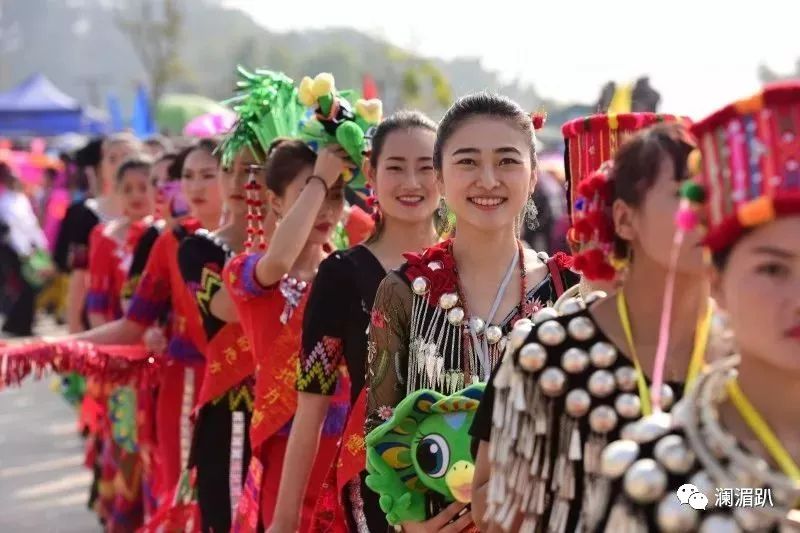 金平苗族瑶族傣族自治县剧团新项目，传承与创新融合，展现多彩民族文化风采