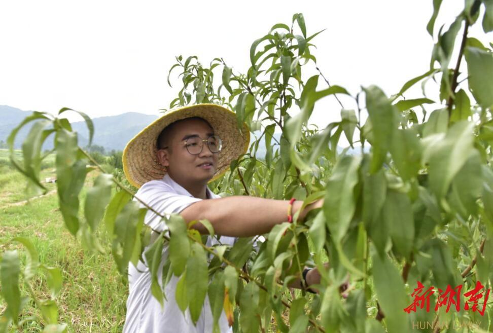 祁东县科技局等最新招聘信息全面解析