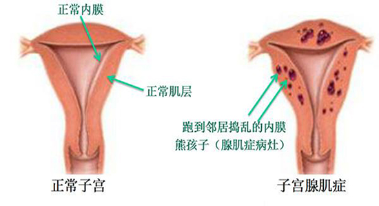 远方的海 第3页