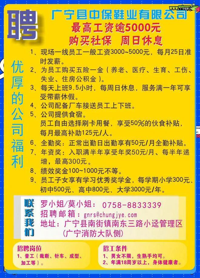 广宁县级托养福利事业单位招聘启事全览