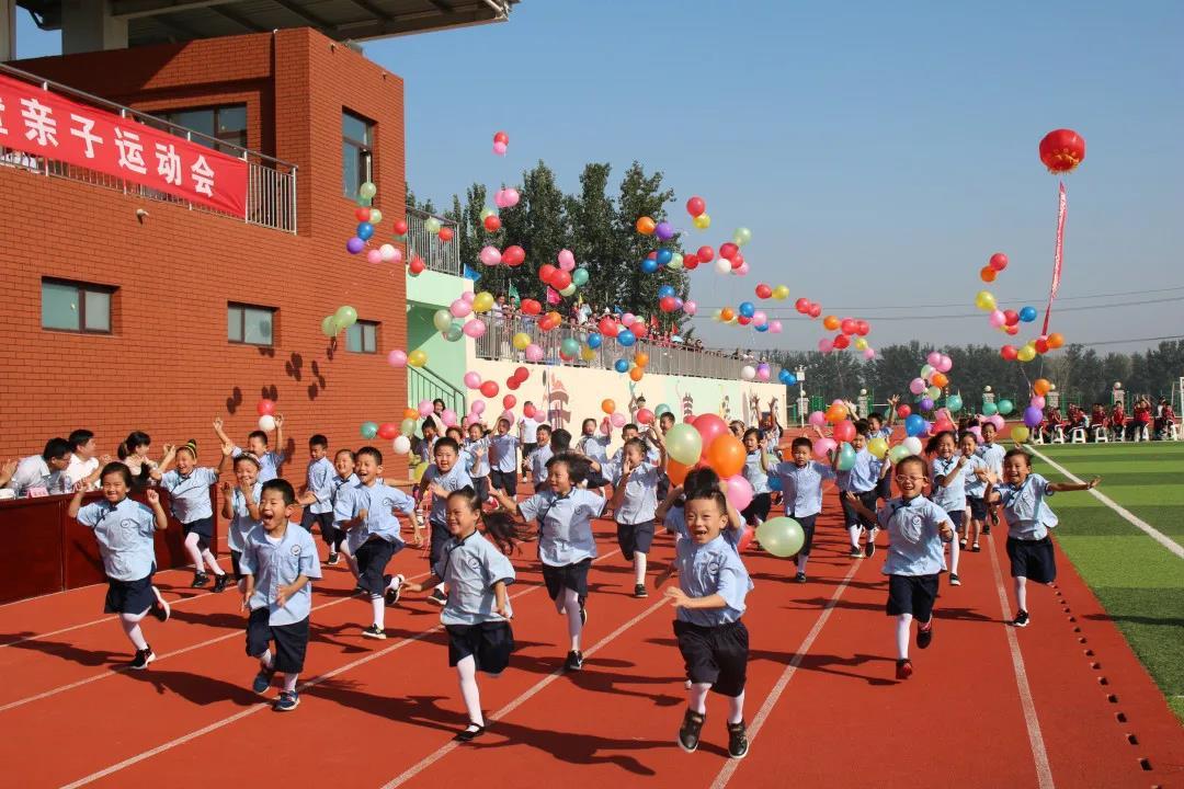 潍城区图书馆人事任命重塑未来图书馆新篇章