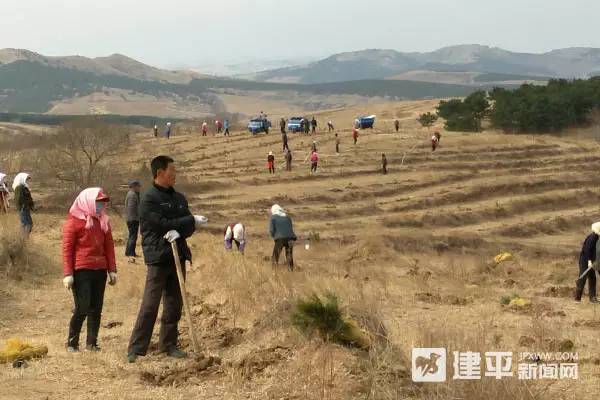 建平县水利局，构建可持续水资源管理体系，推动最新发展规划实施