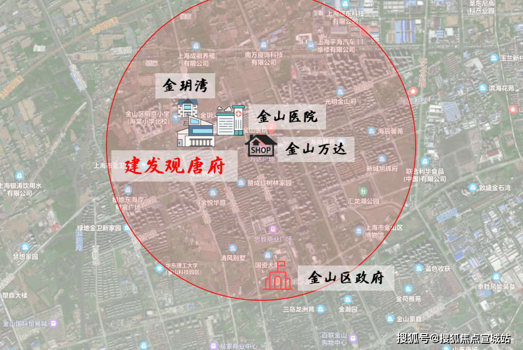 金山区计生委最新发展规划深度解析