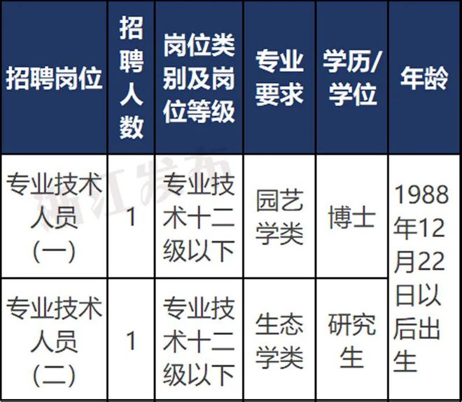 沧浪区科技局最新招聘信息与职位全面解析