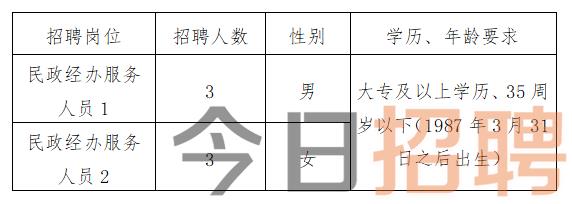 孟连傣族拉祜族佤族自治县康复事业单位招聘新动态及其社会影响分析