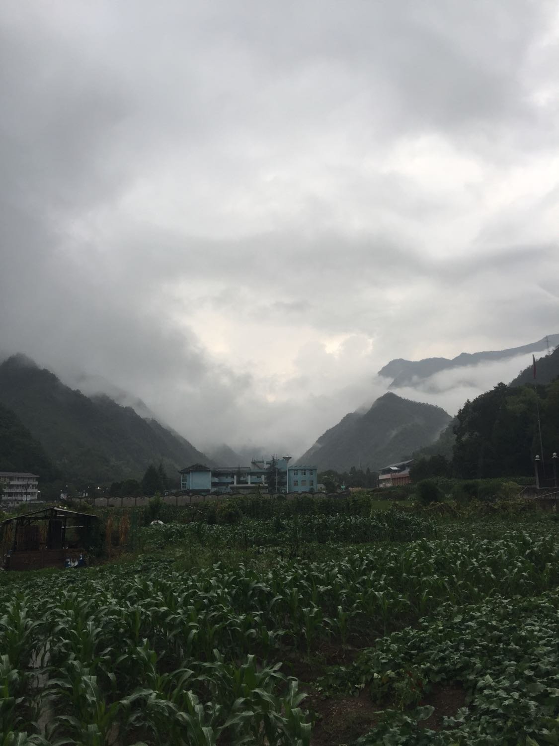 青草镇天气预报更新通知