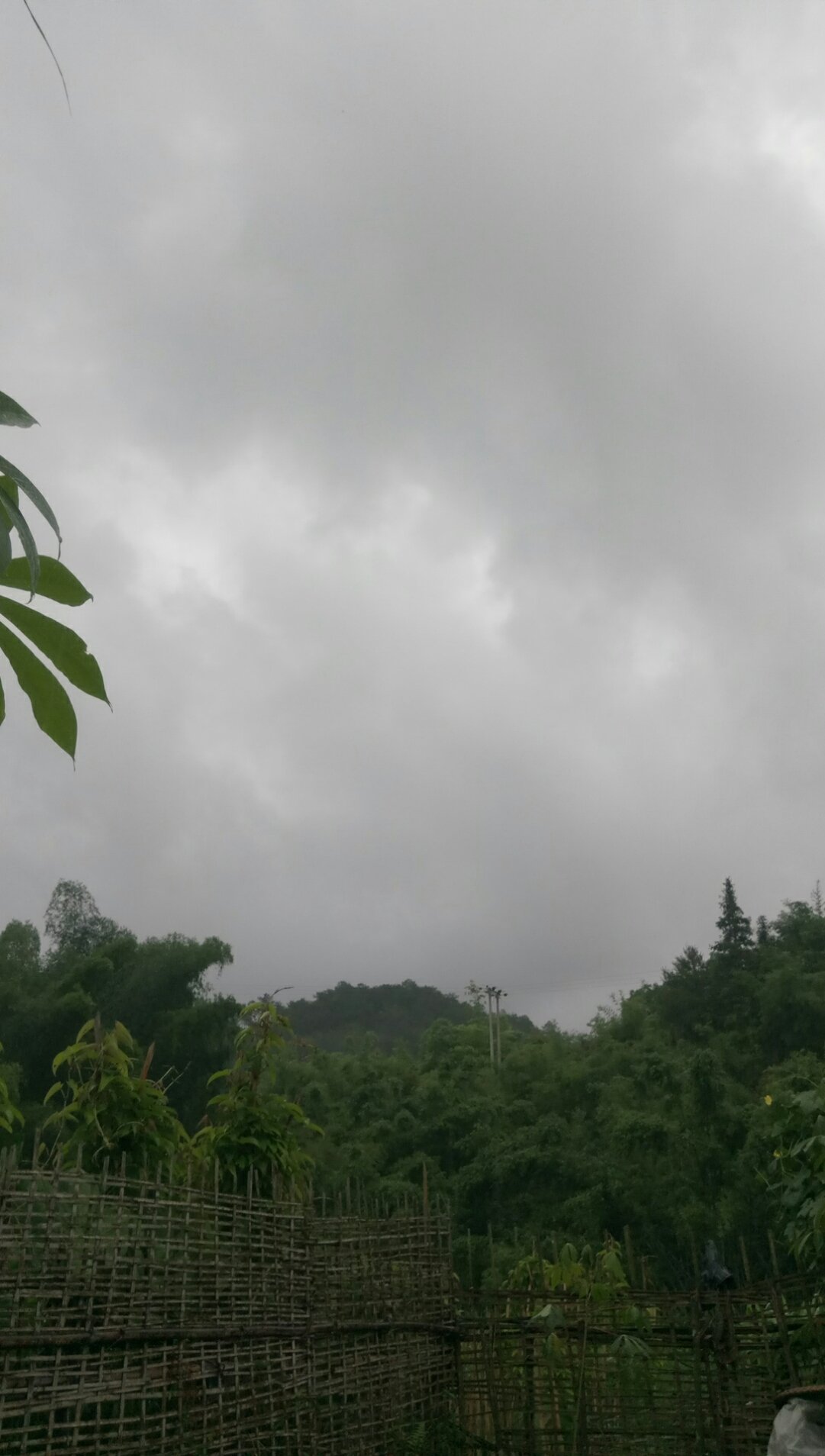 康荣乡天气预报更新通知