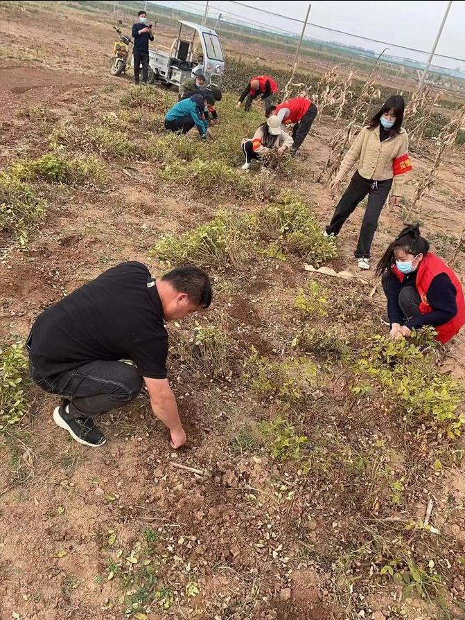 宜阳县防疫检疫站最新动态报道