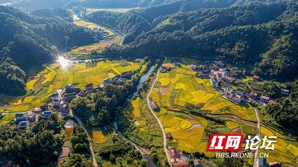 走马坪白族乡天气预报更新通知