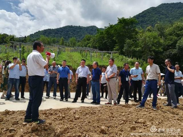 镇安县农业农村局新项目推动农业现代化助力乡村振兴