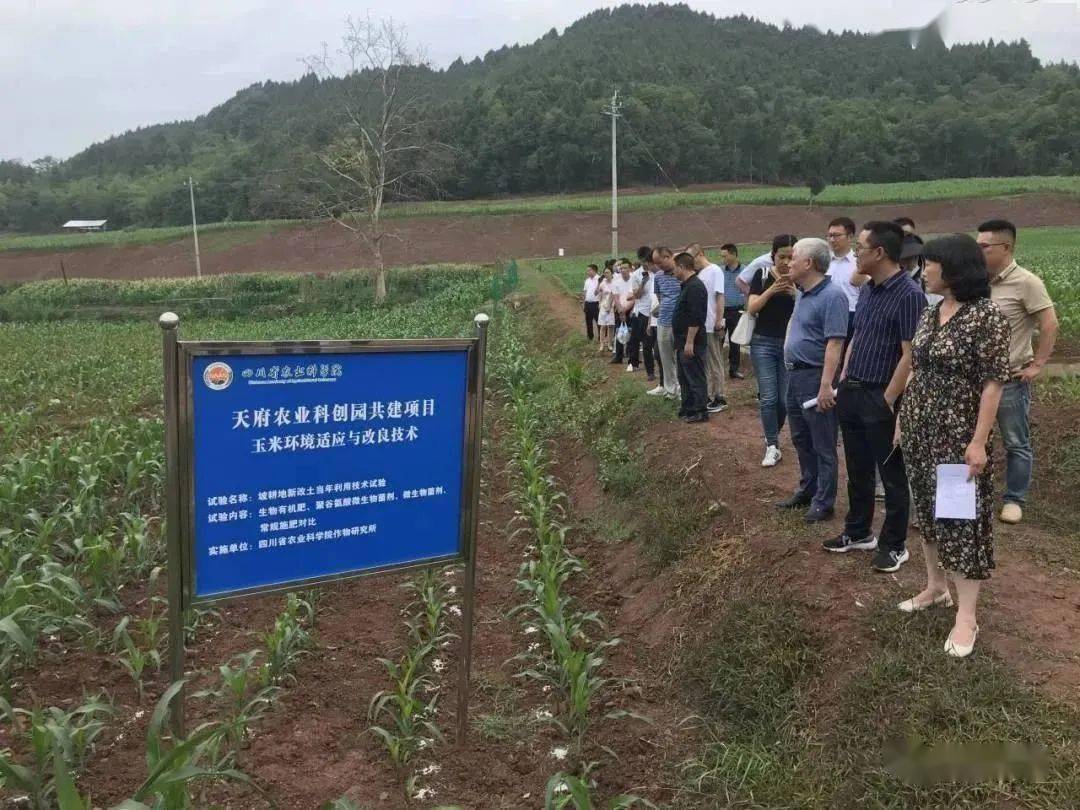 简阳市农业农村局新项目推动农业现代化助力乡村振兴