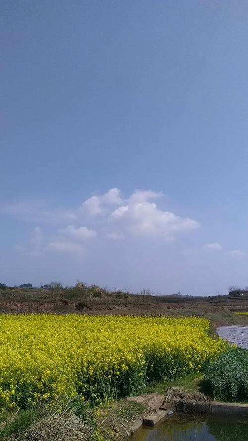 上港乡天气预报更新通知