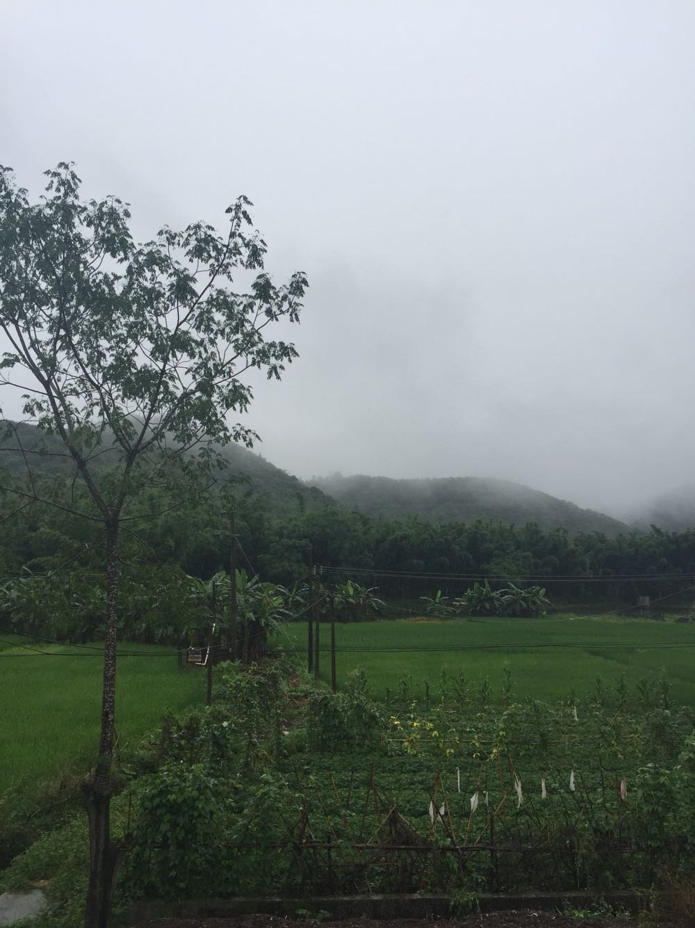 水打田乡天气预报更新通知